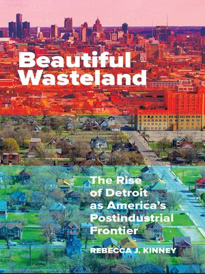 cover image of Beautiful Wasteland